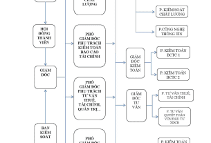 Sơ đồ tổ chức Asean